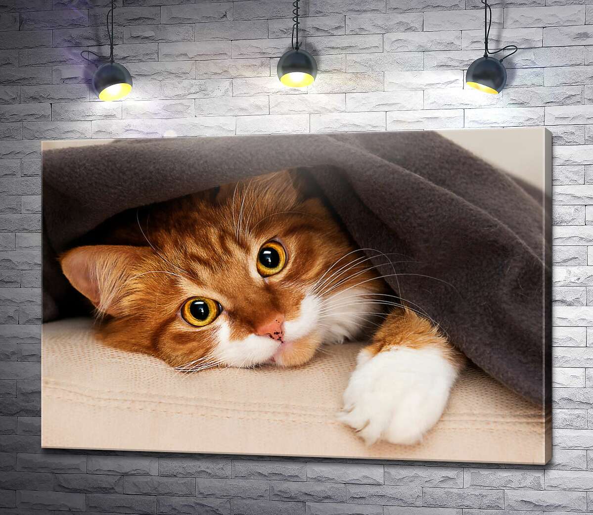картина Рудий кіт під теплою ковдрою