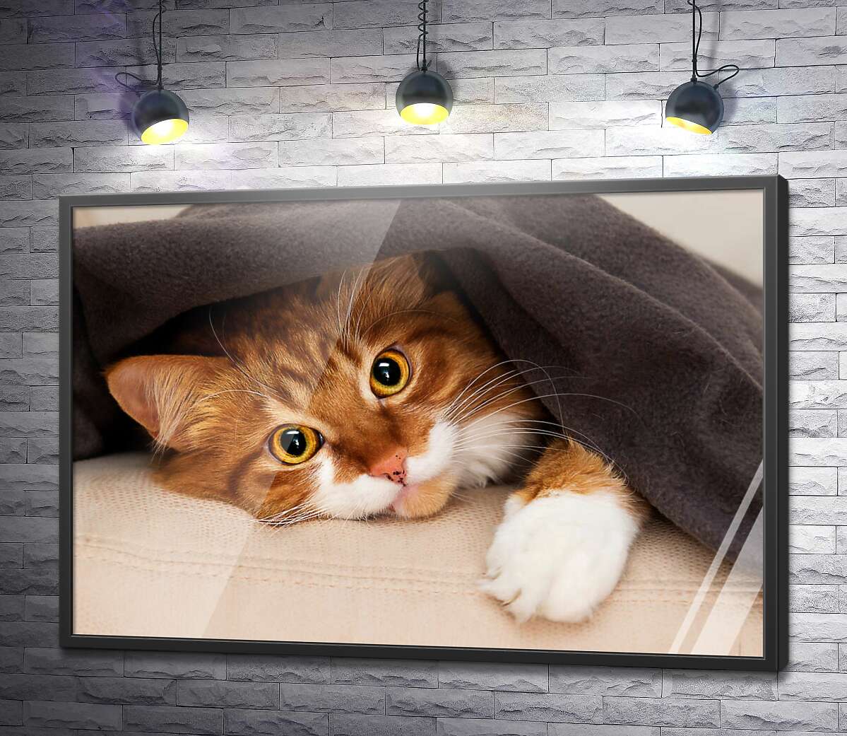 постер Рыжий кот под теплым одеялом