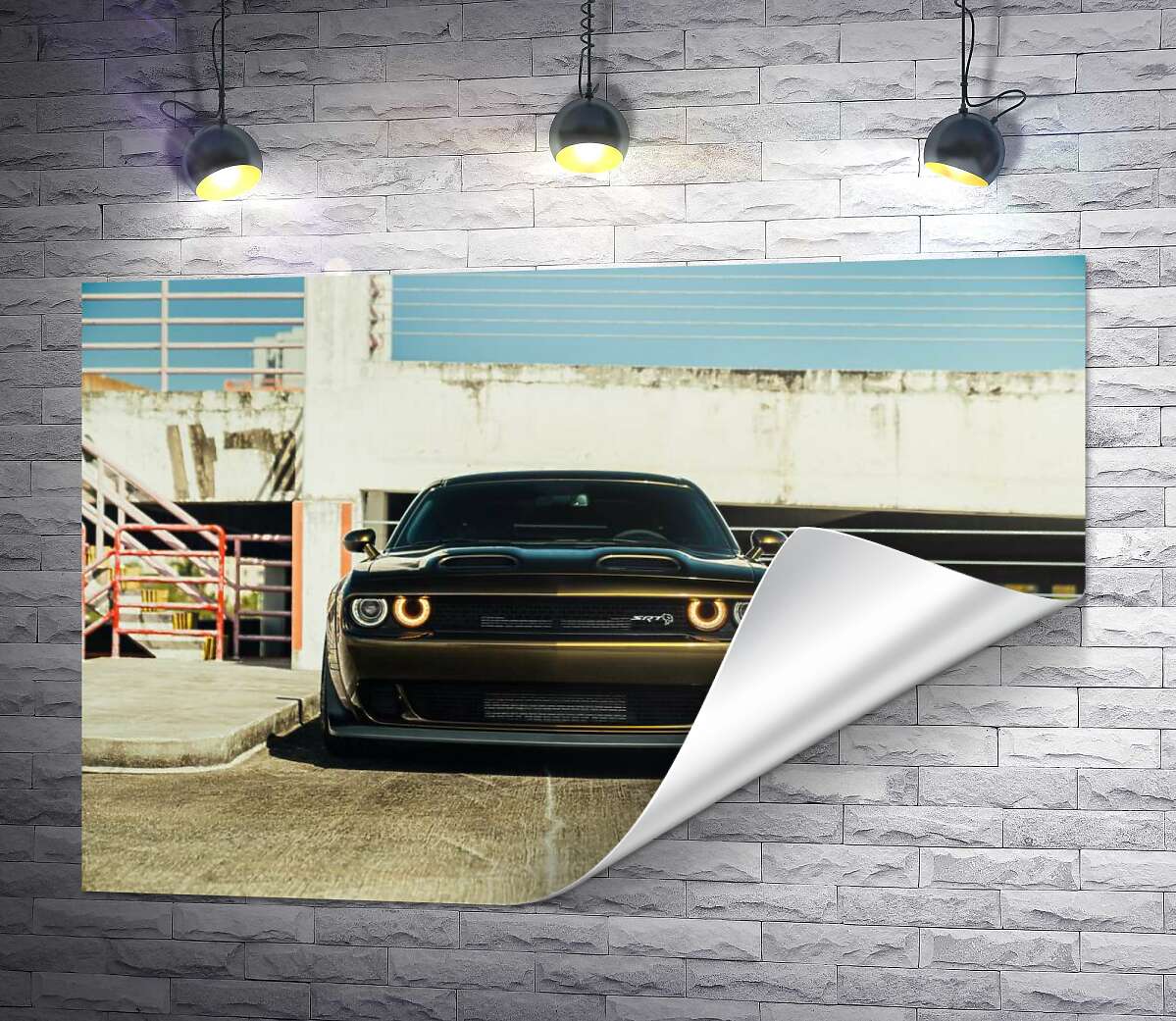печать Пристальный взгляд Dodge Challenger