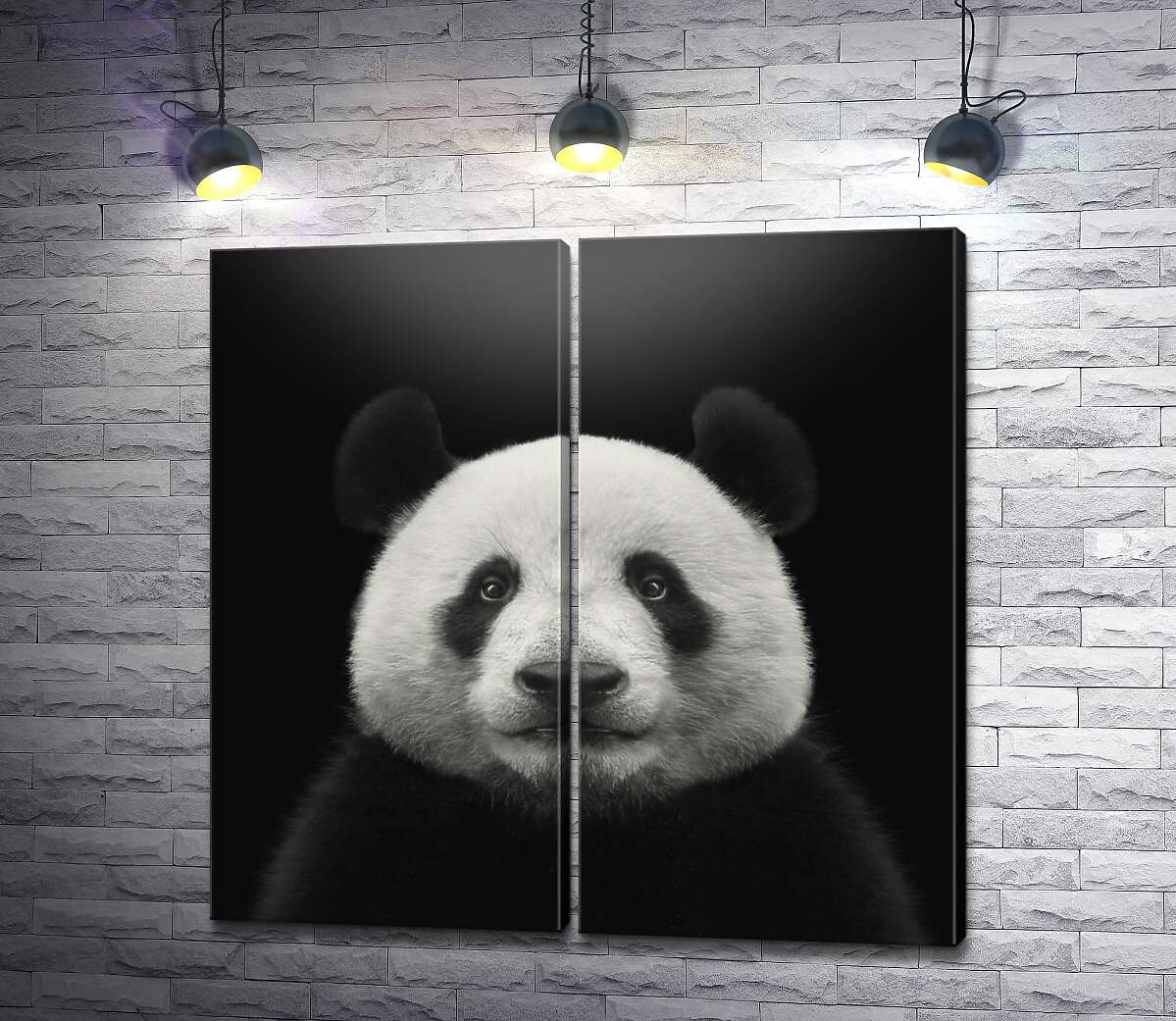 модульная картина Монохромный портрет панды