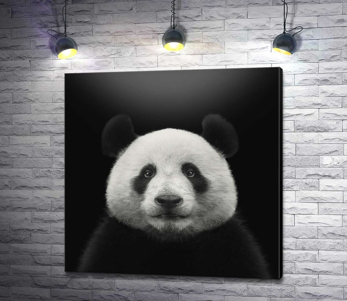 картина Монохромный портрет панды