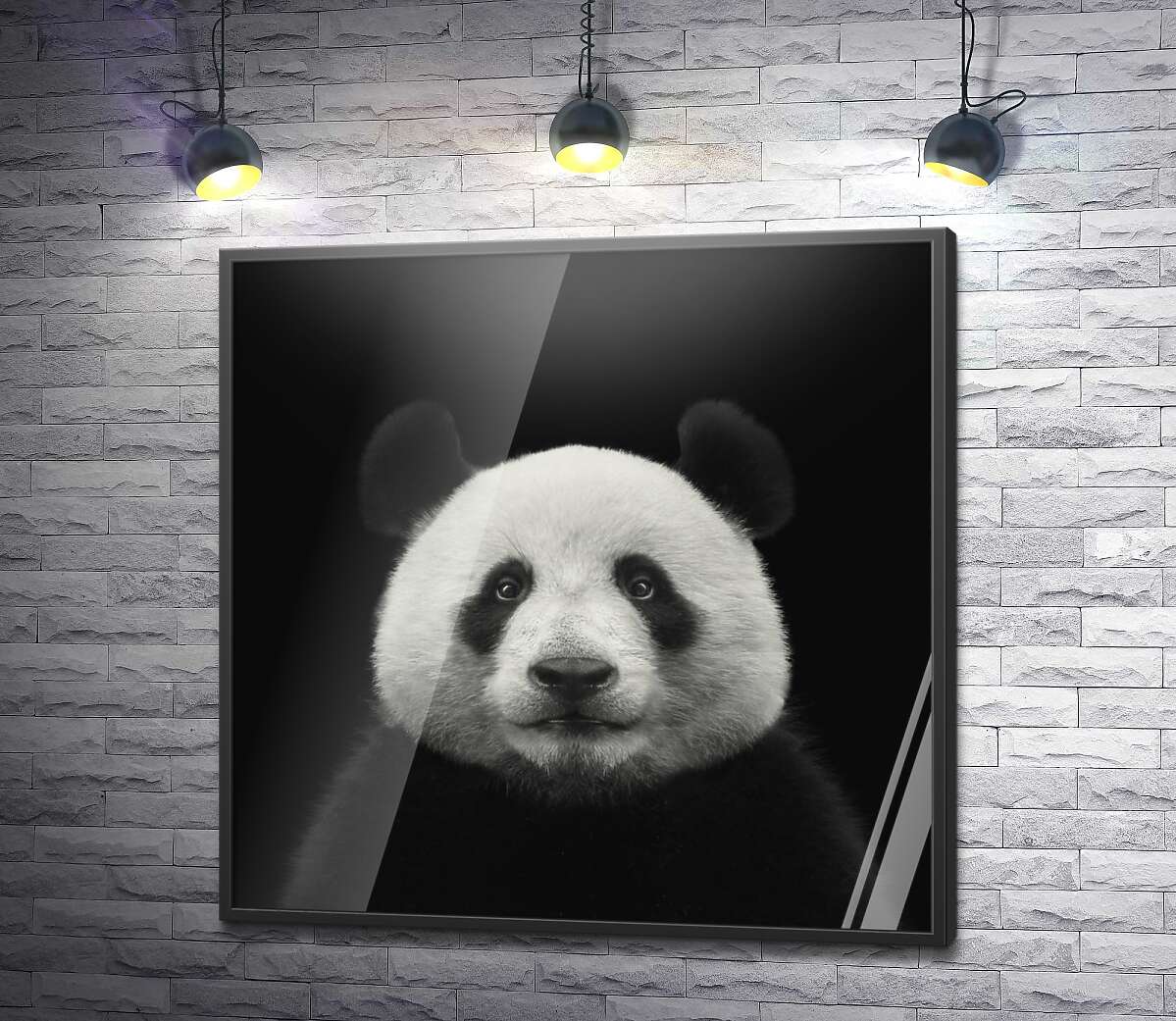 постер Монохромный портрет панды