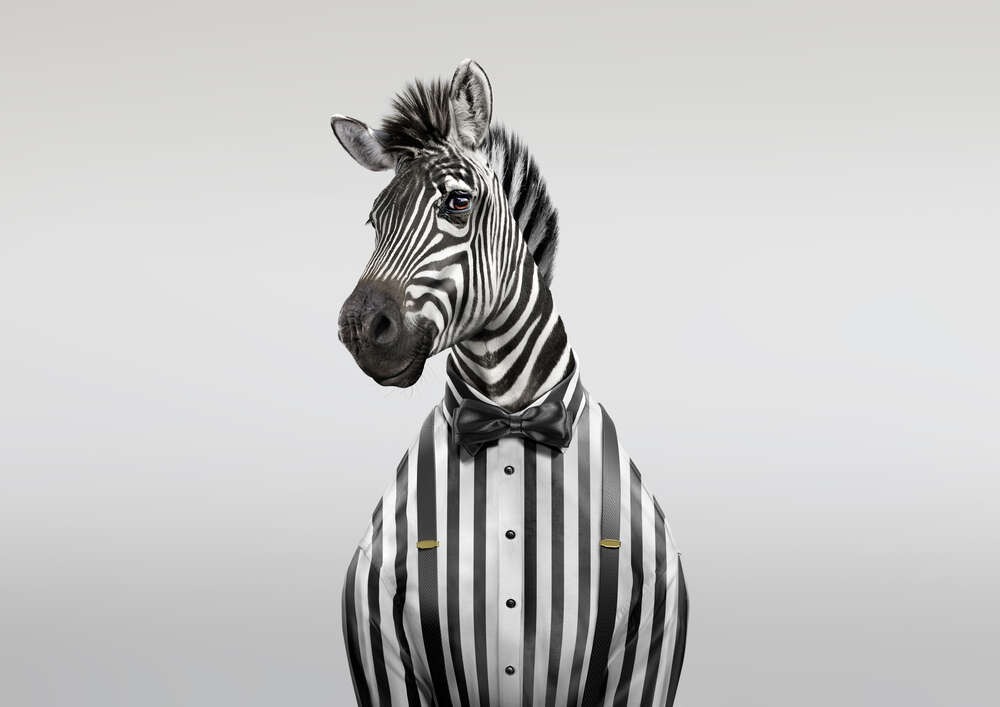 картина-постер Улыбающаяся зебра в ретро костюме