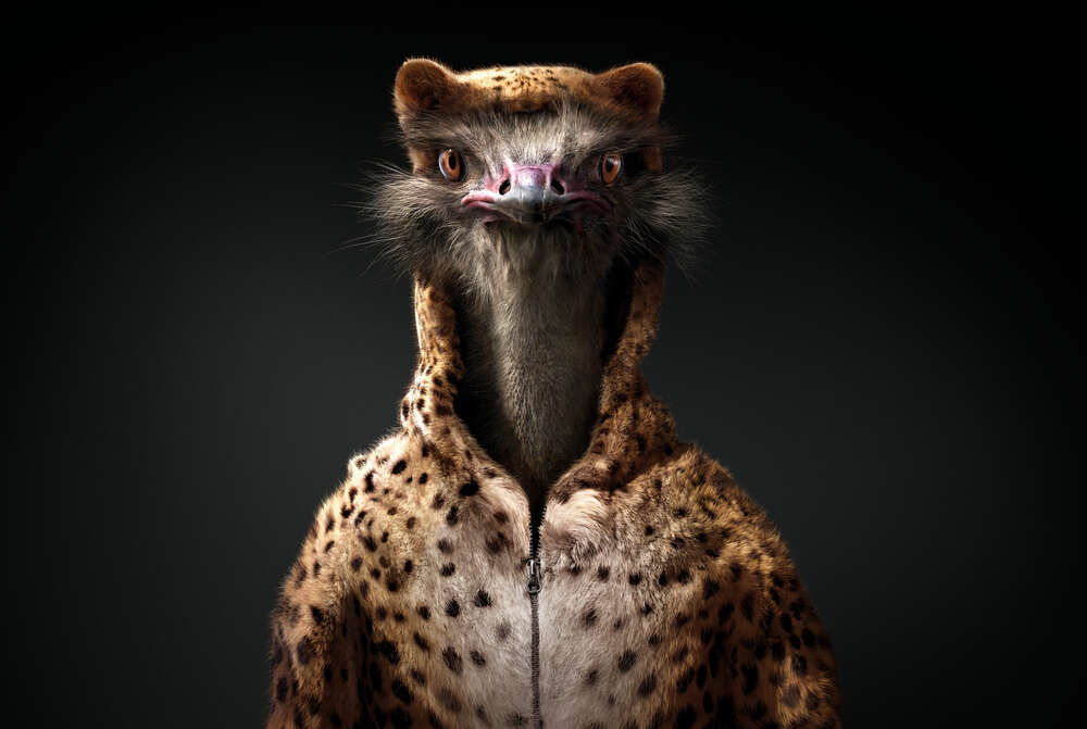 картина-постер Страус в костюме гепарда