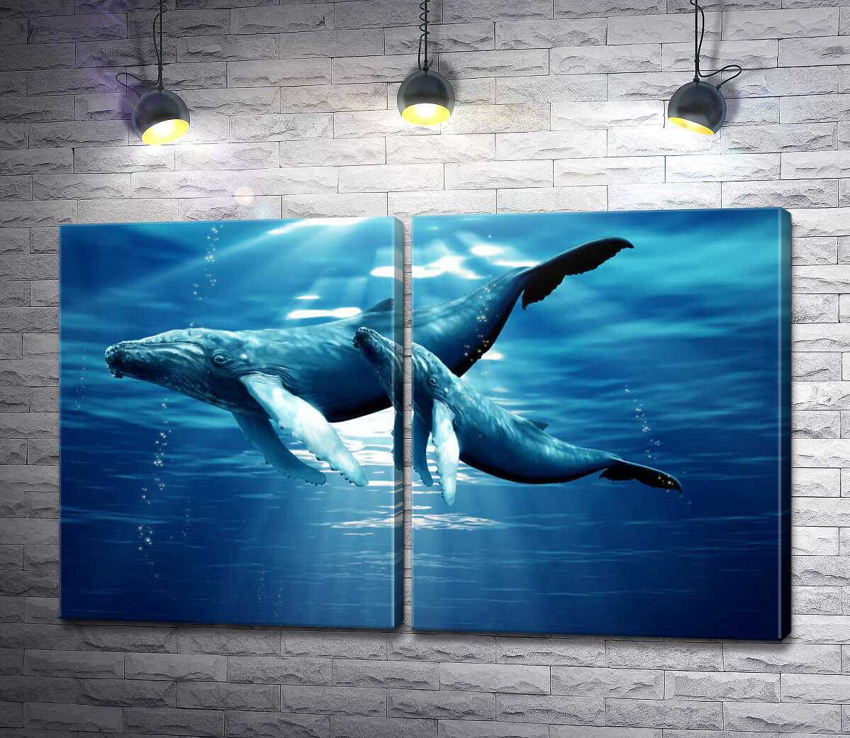 модульна картина Пара синіх китів в сонячних променях
