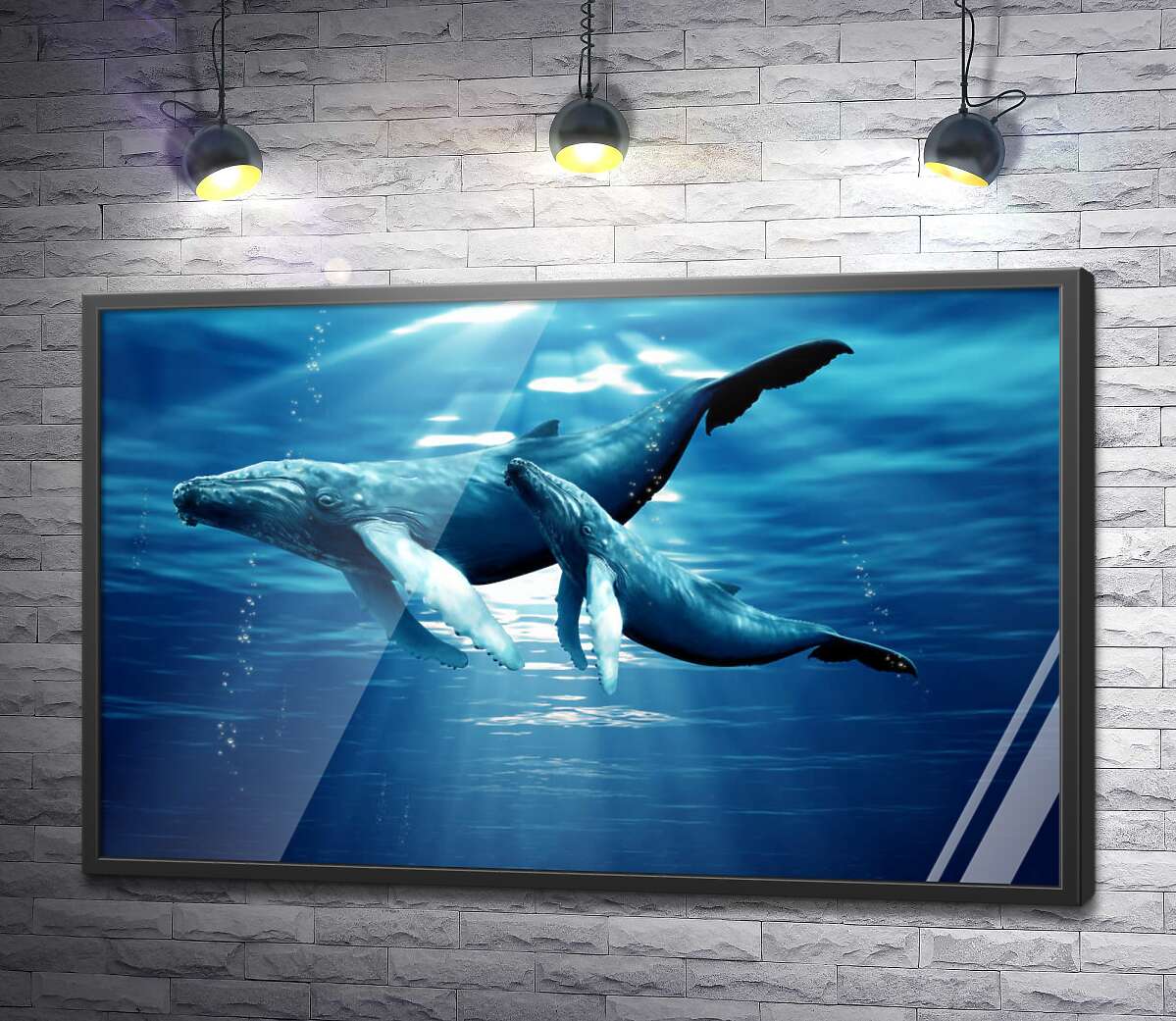постер Пара синіх китів в сонячних променях