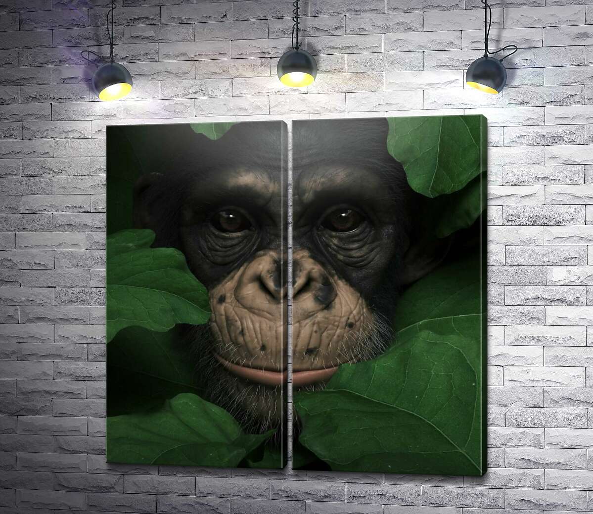 модульная картина Внимательная шимпанзе в зелёной листве