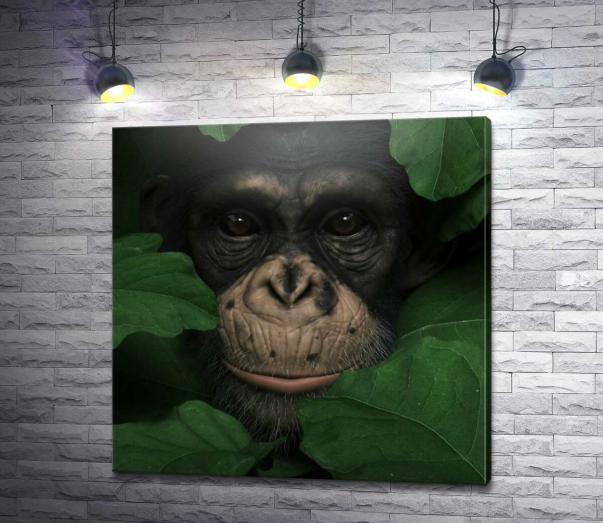 картина Уважна шимпанзе в зеленому листі