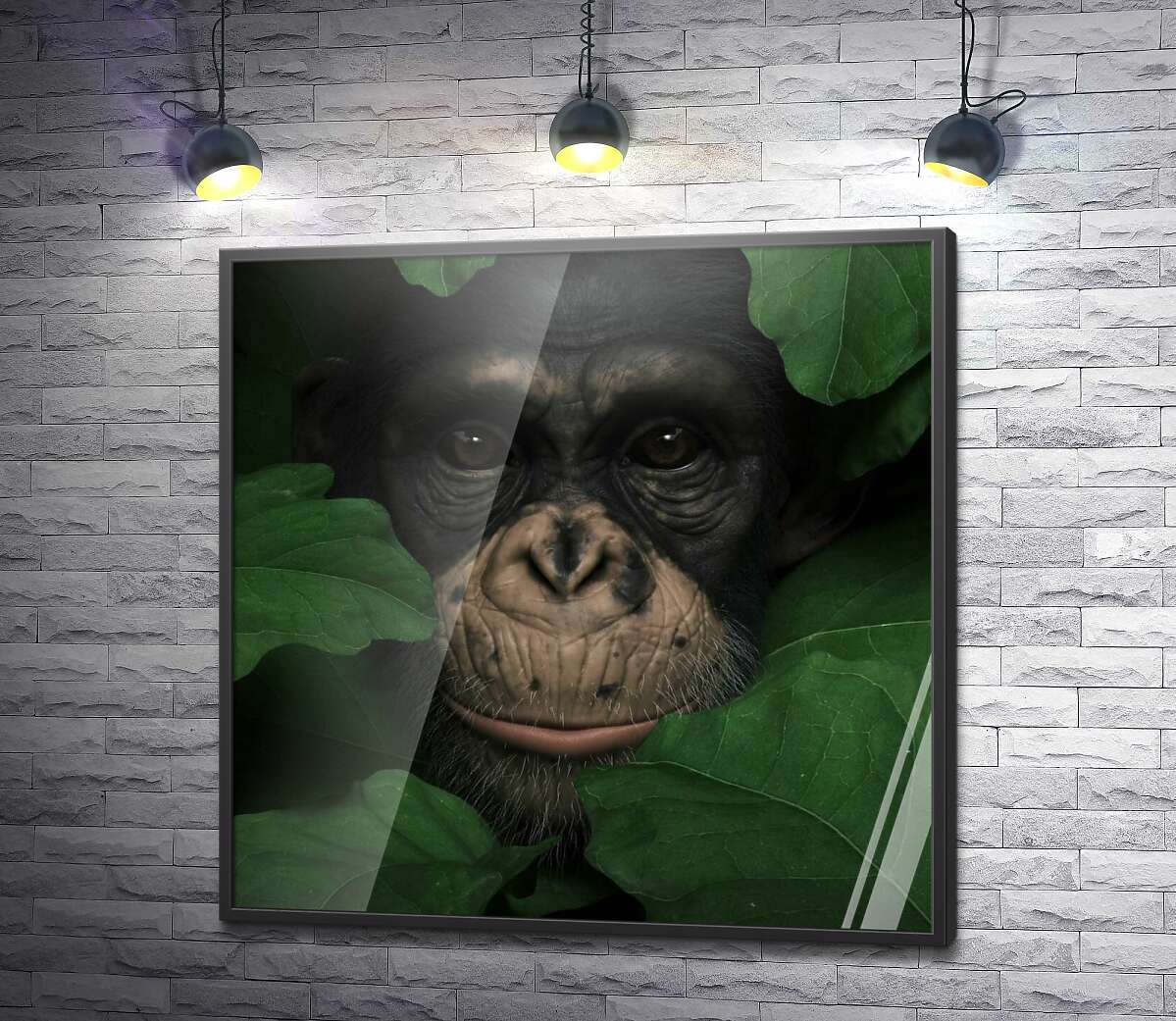 постер Внимательная шимпанзе в зелёной листве