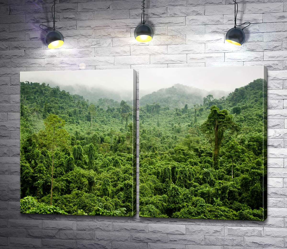модульна картина Туманні джунглі дощового лісу В'єтнаму
