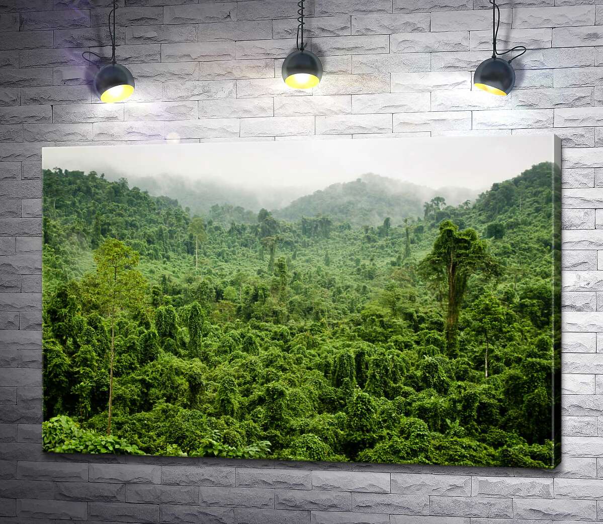 картина Туманные джунгли дождевого леса Вьетнама