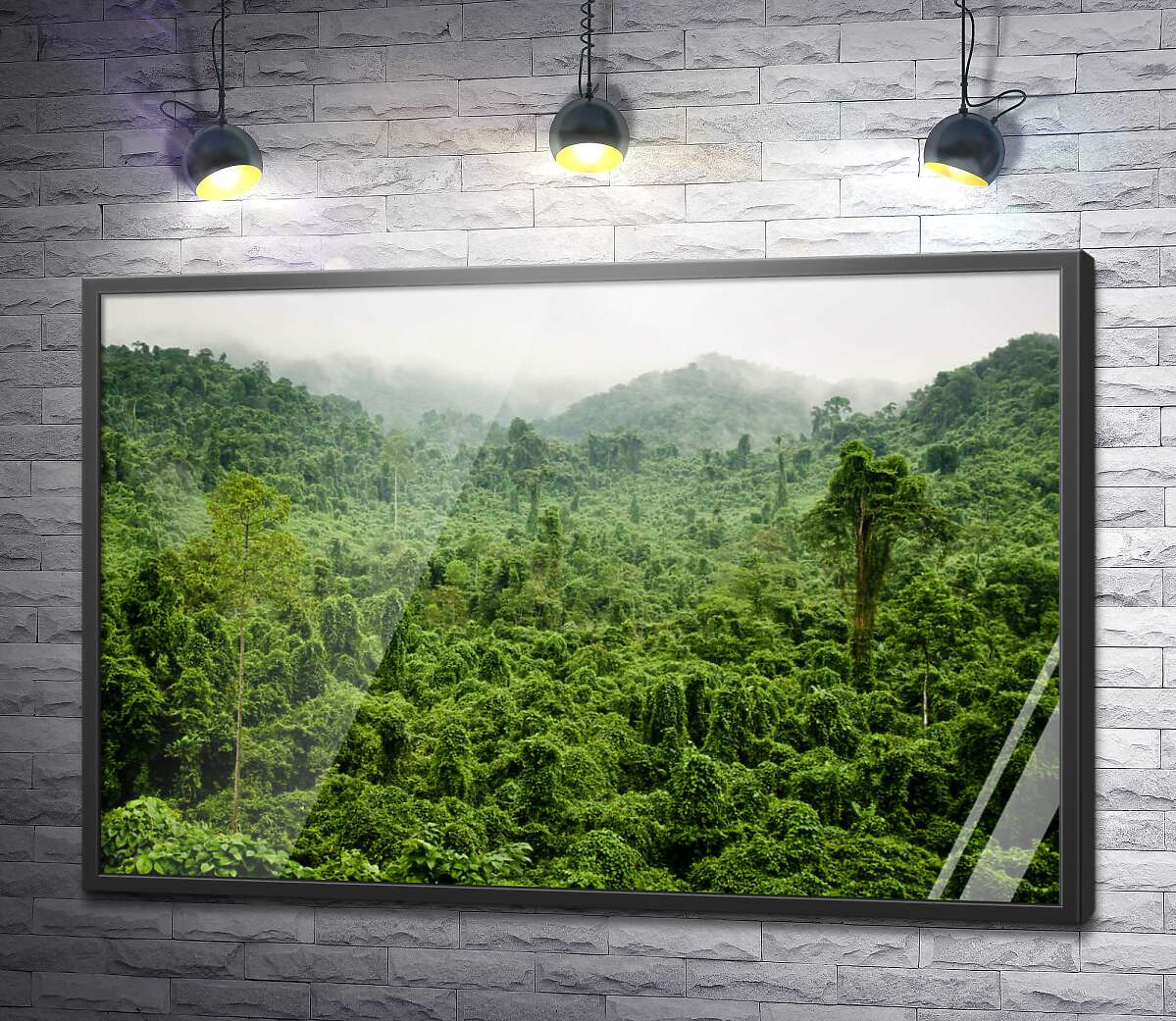 постер Туманні джунглі дощового лісу В'єтнаму