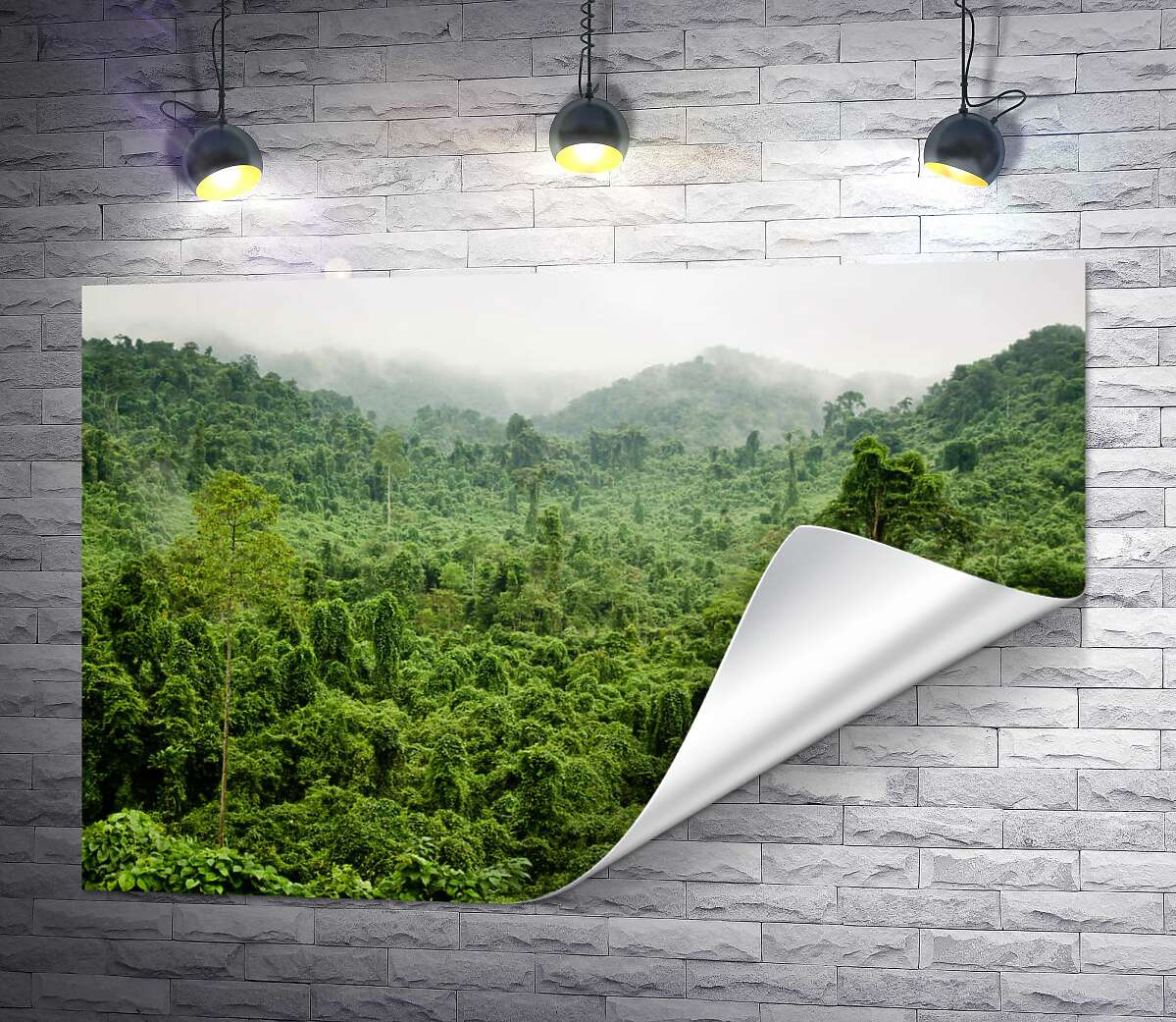 печать Туманные джунгли дождевого леса Вьетнама