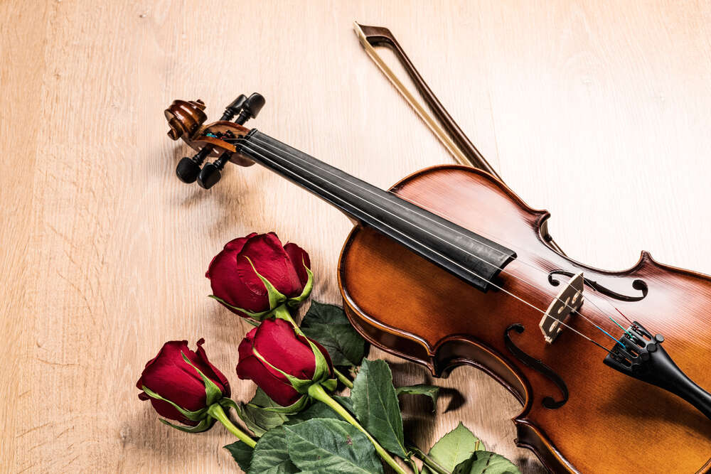 картина-постер Элегантная скрипка и красные розы