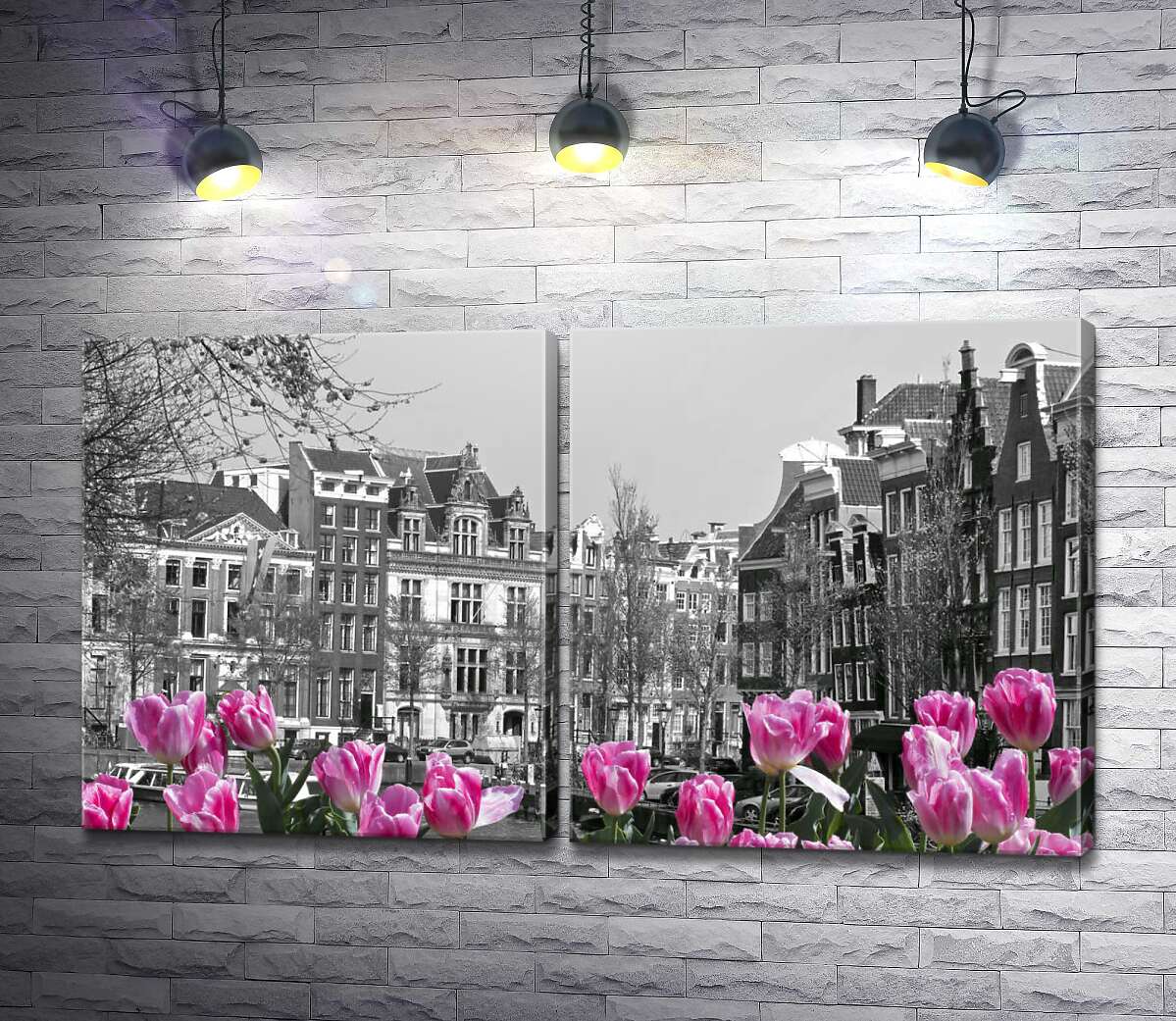 модульная картина Розовые тюльпаны обрамляют черно-белый канал Амстердама