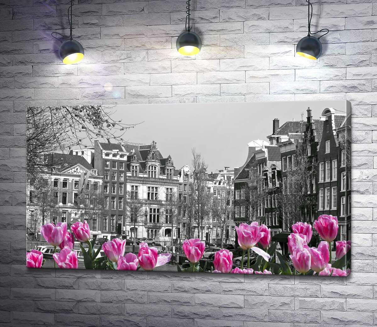 картина Розовые тюльпаны обрамляют черно-белый канал Амстердама