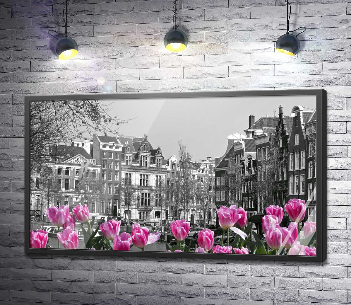 постер Рожеві тюльпани обрамляють чорно-білий канал Амстердама