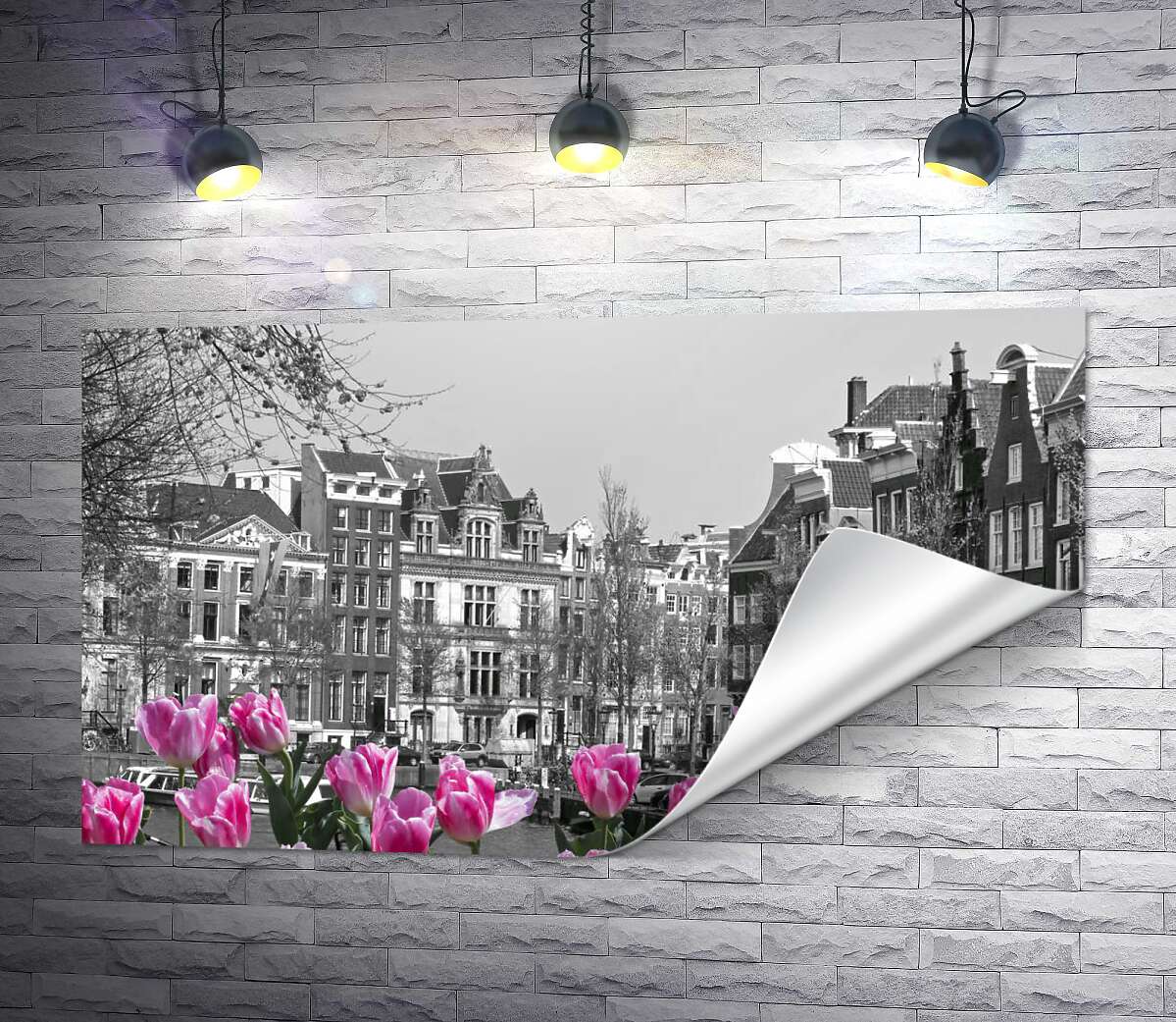 друк Рожеві тюльпани обрамляють чорно-білий канал Амстердама