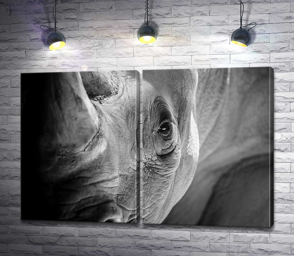 модульна картина Мудрий погляд носорога
