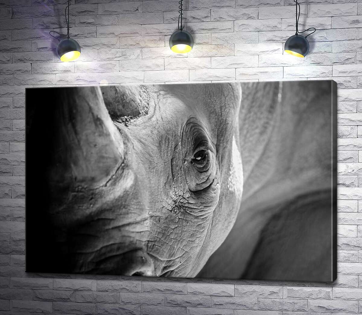 картина Мудрий погляд носорога