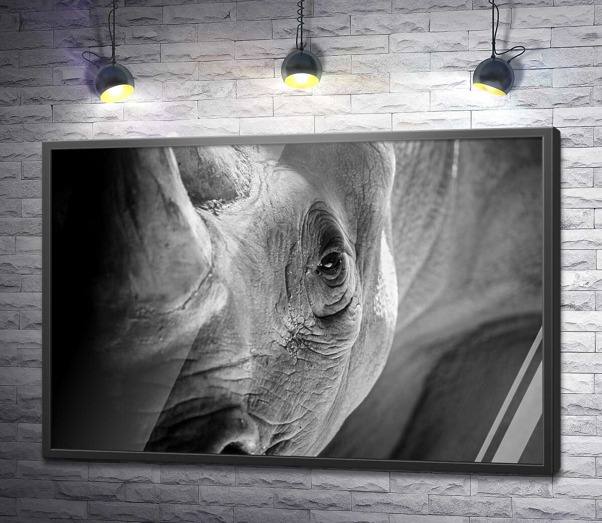 постер Мудрий погляд носорога