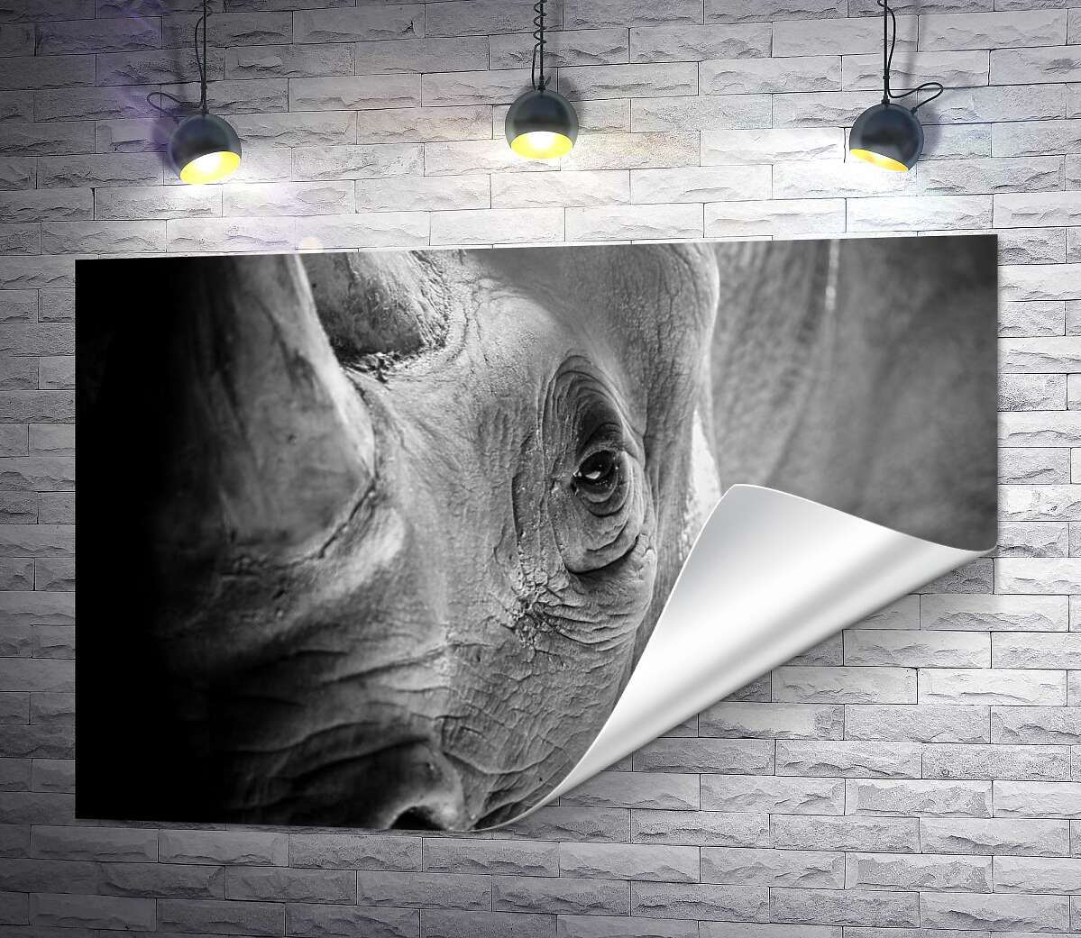 печать Мудрый взгляд носорога
