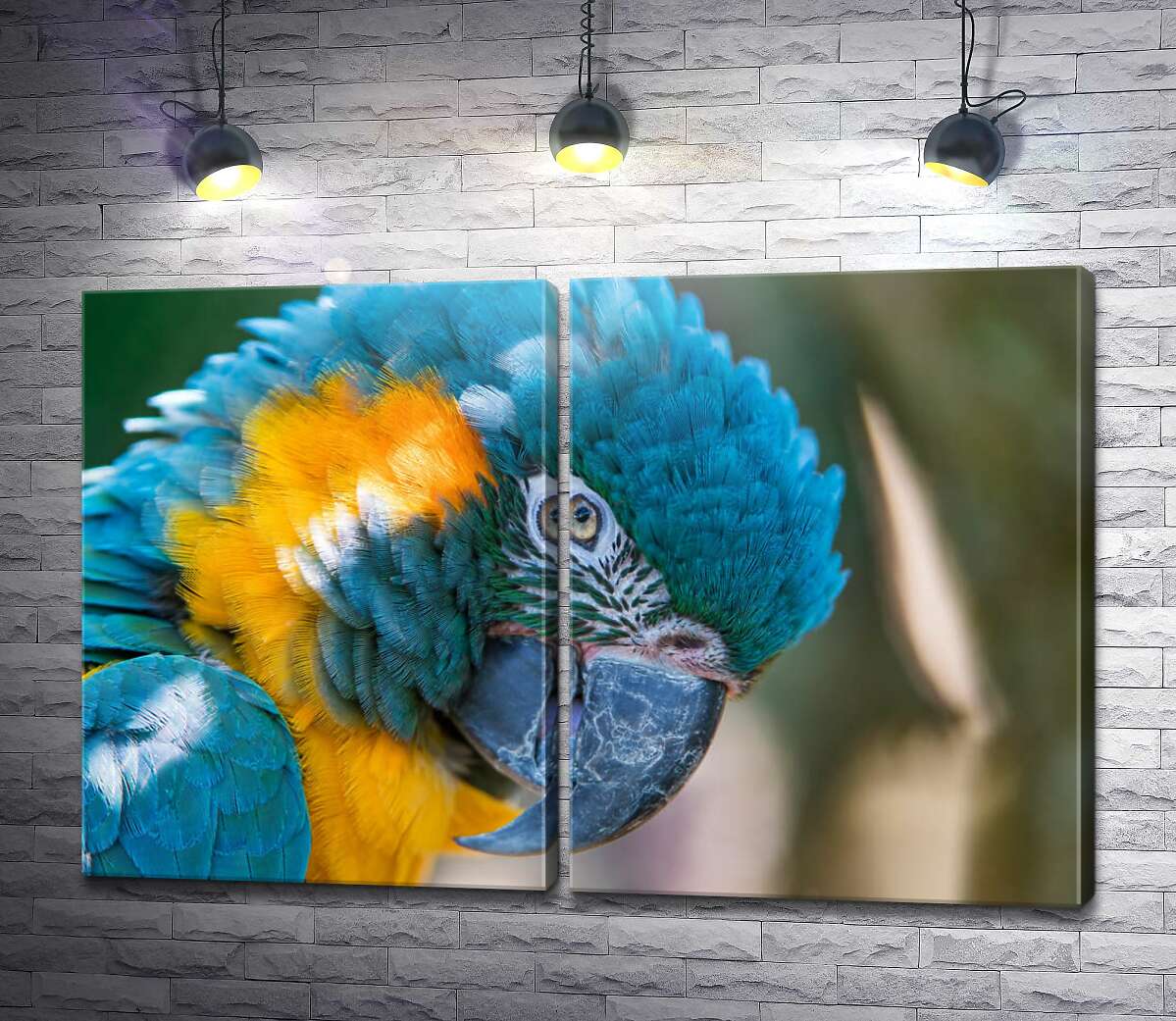 модульная картина Яркий сине-желтый попугай ара