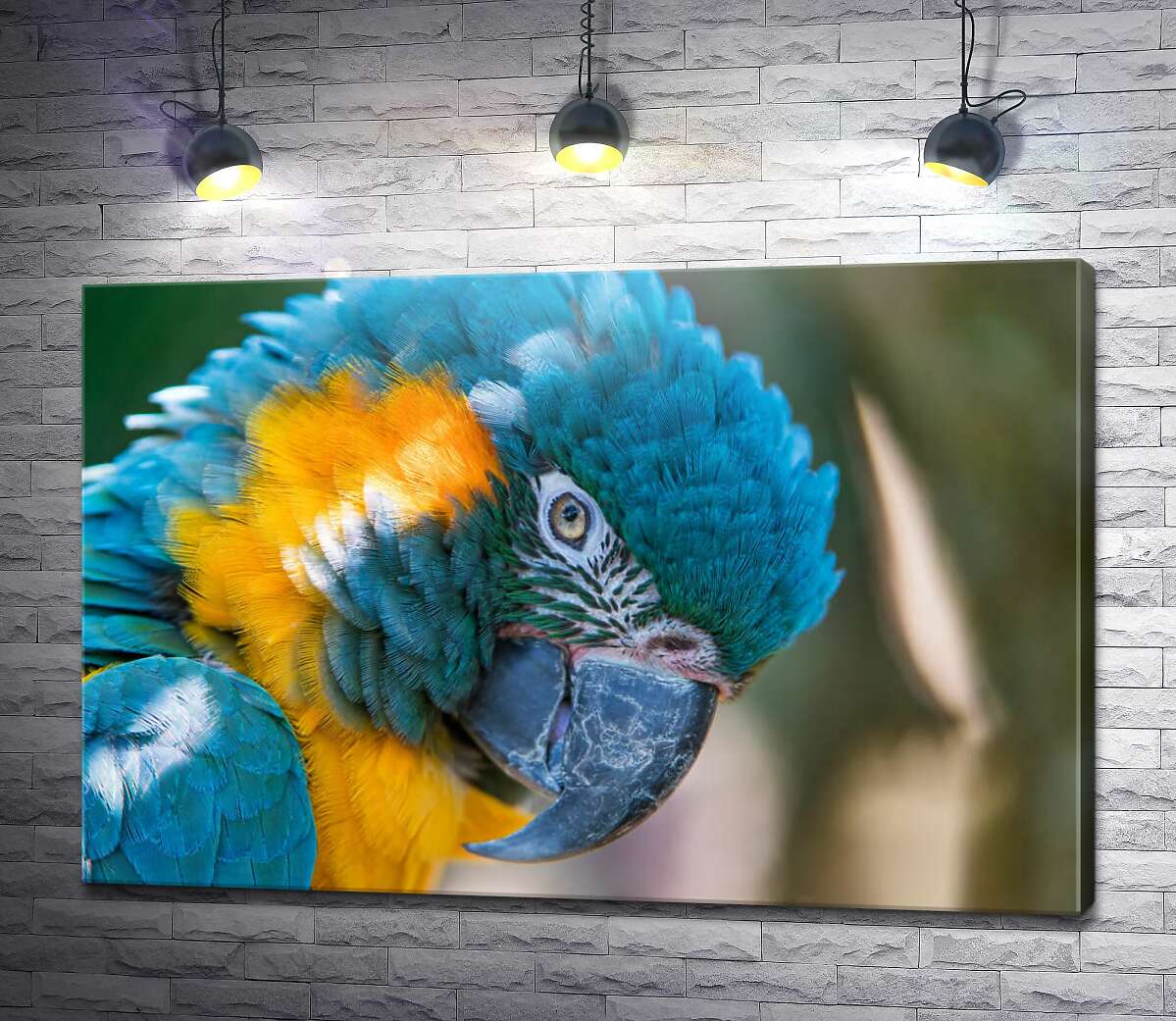 картина Яркий сине-желтый попугай ара