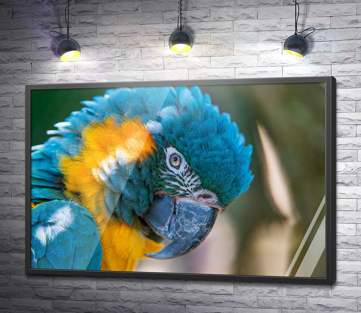постер Яскравий синьо-жовтий папуга ара