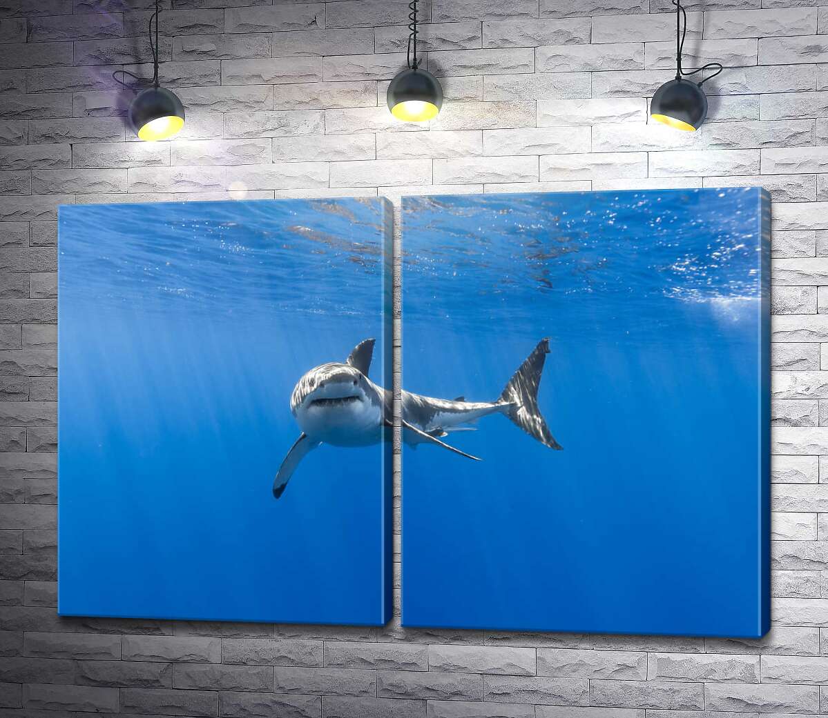 модульная картина Белая акула в лучах солнца