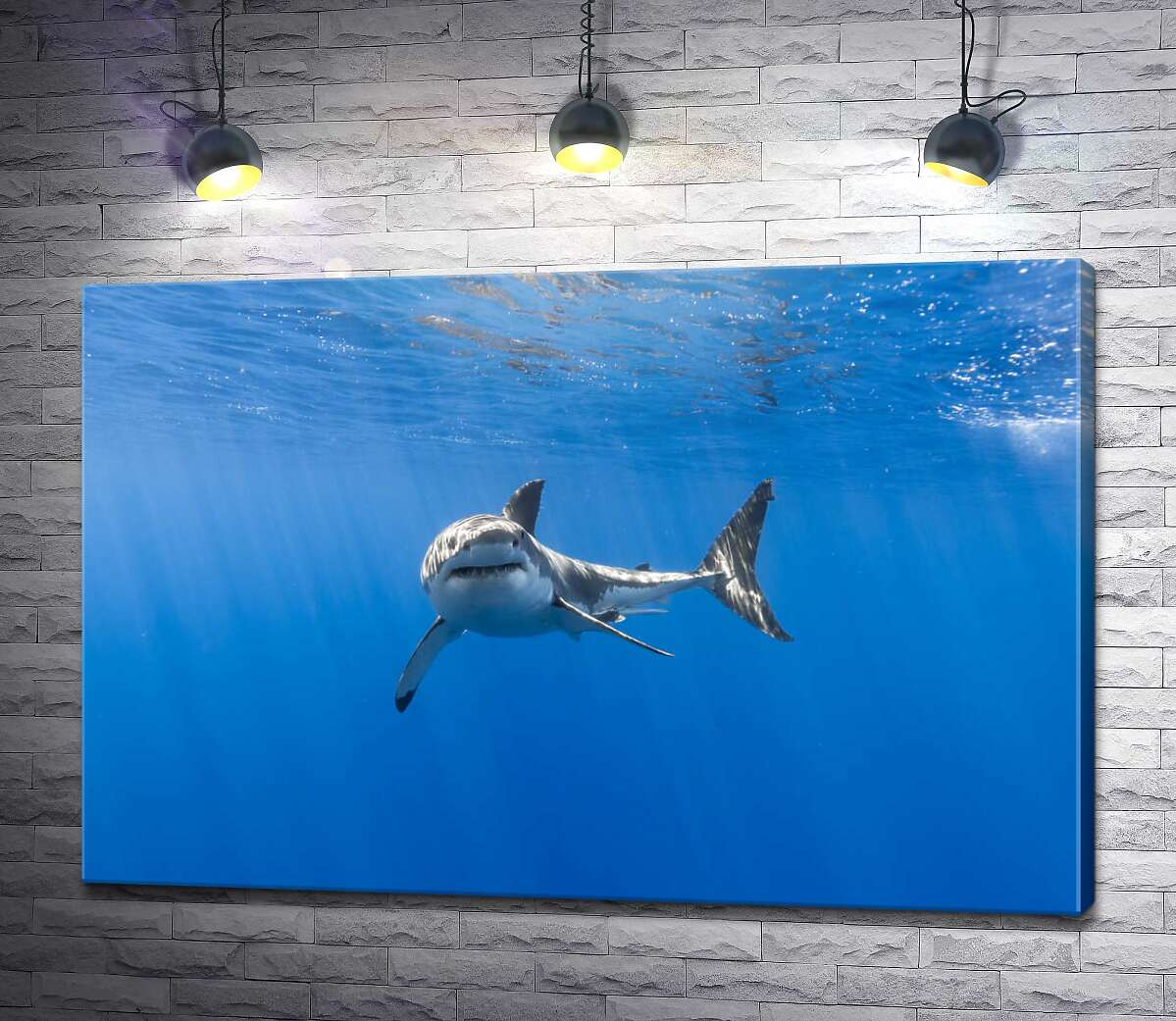 картина Белая акула в лучах солнца