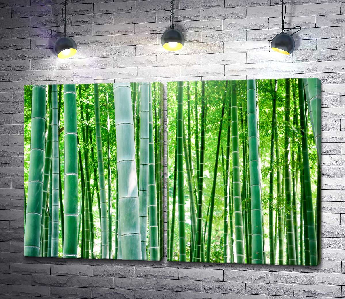 модульная картина Зелень бамбукового леса