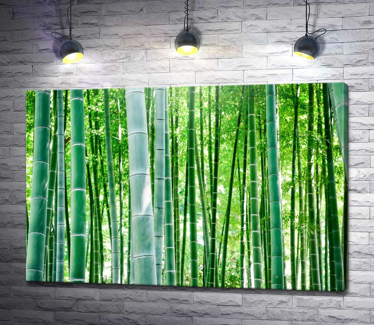 картина Зелень бамбукового леса