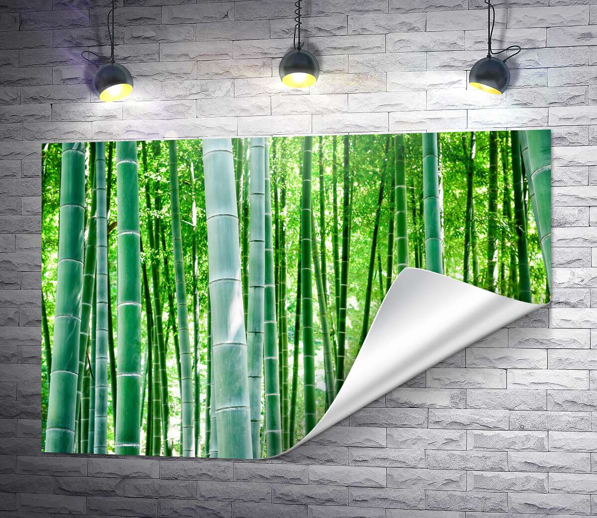 друк Зелень бамбукового лісу