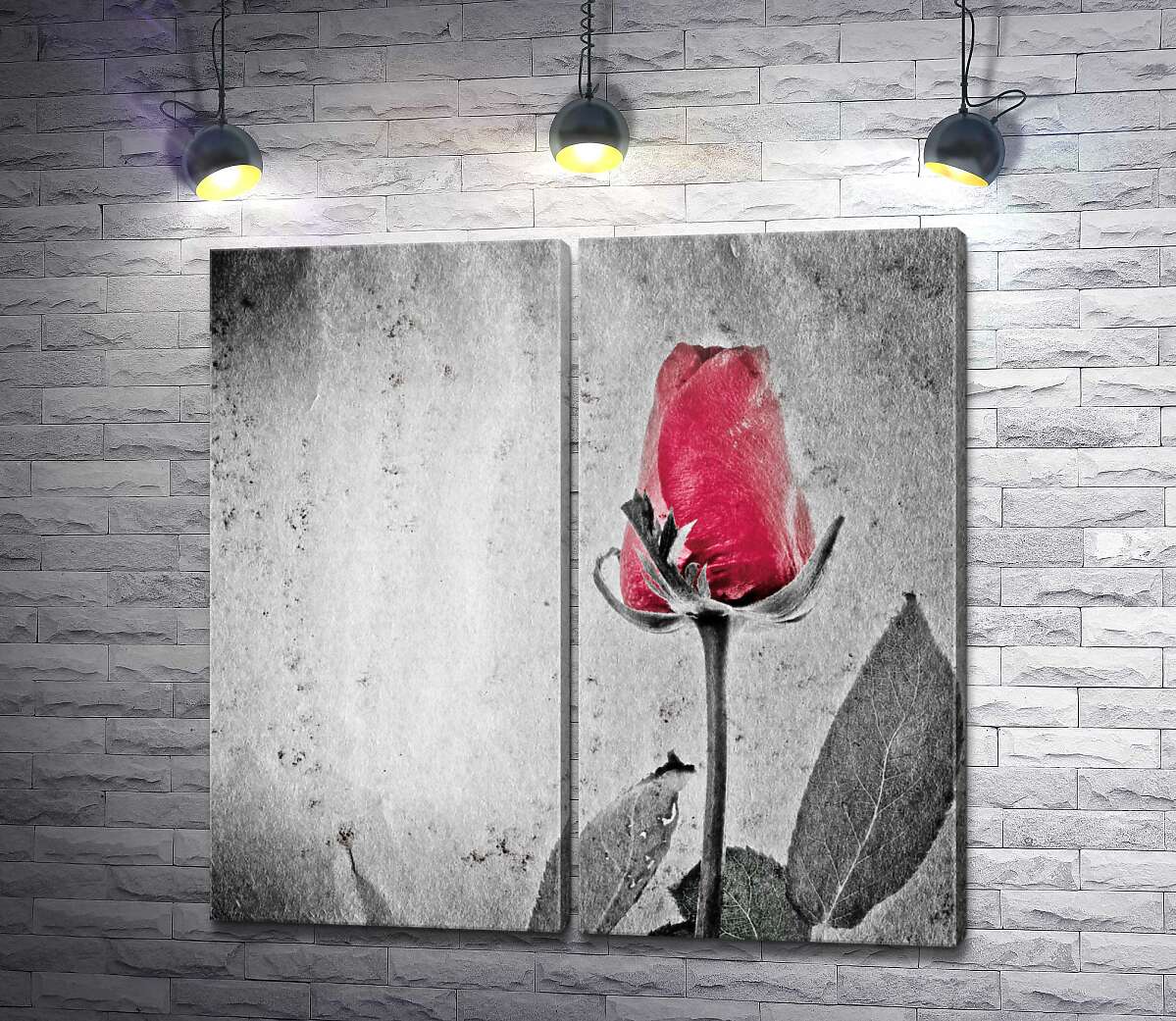 модульна картина Червоний бутон чорно-білої троянди