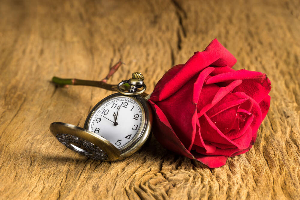 картина-постер Карманные часы и красная роза