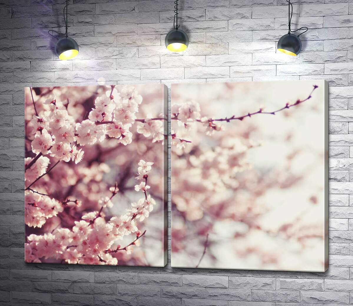 модульная картина Нежные ветки цветущей сакуры
