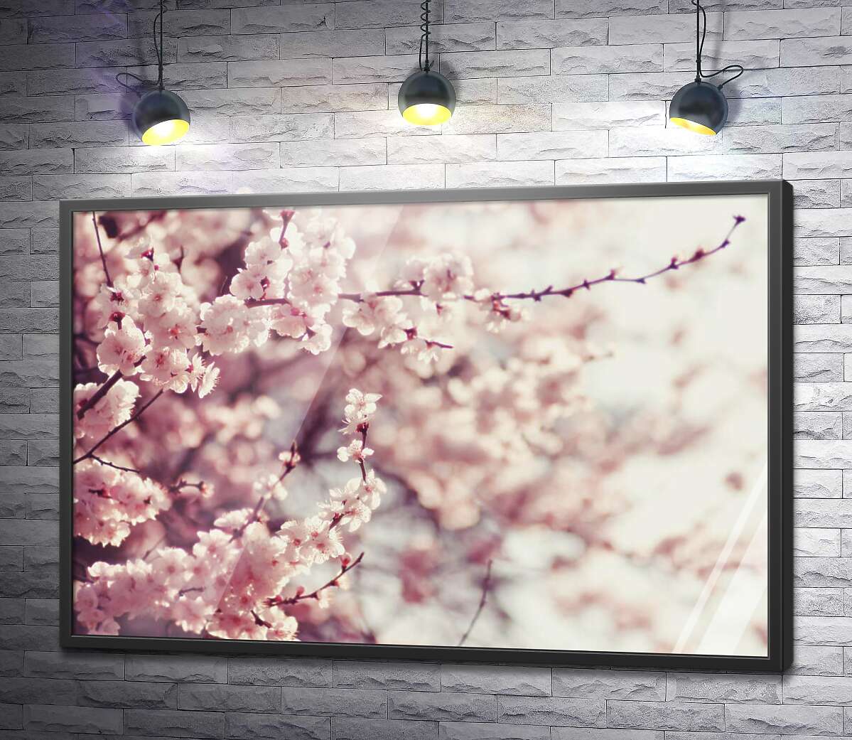 постер Ніжні гілки квітучої сакури
