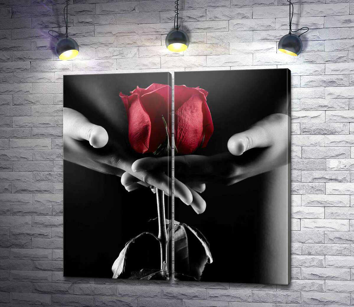 модульная картина Красная роза в тени соблазнительного женского тела