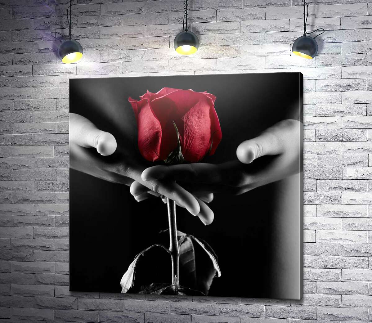 картина Червона троянда в тіні спокусливого жіночого тіла