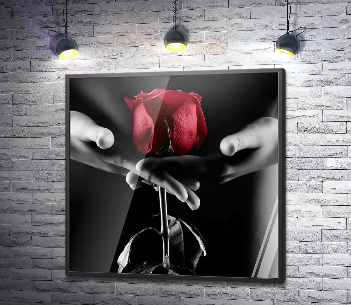 постер Червона троянда в тіні спокусливого жіночого тіла