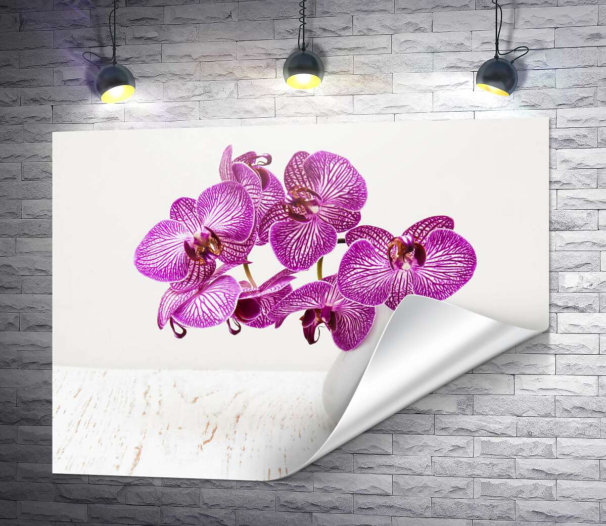 печать Фиолетовые цветы орхидеи в вазе