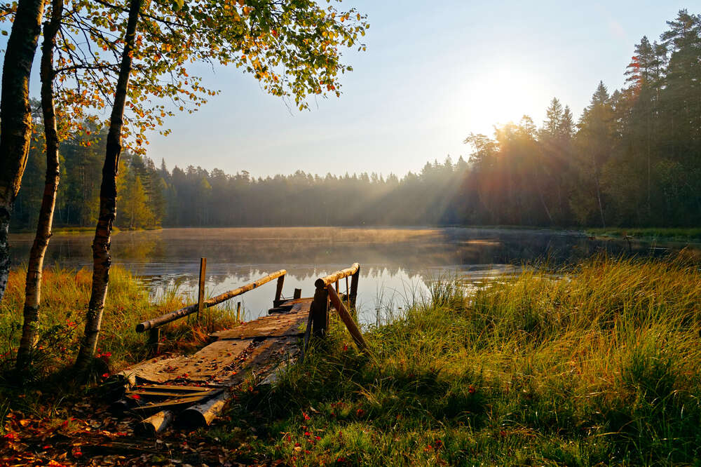 картина-постер Сільський місток на лісовому озері
