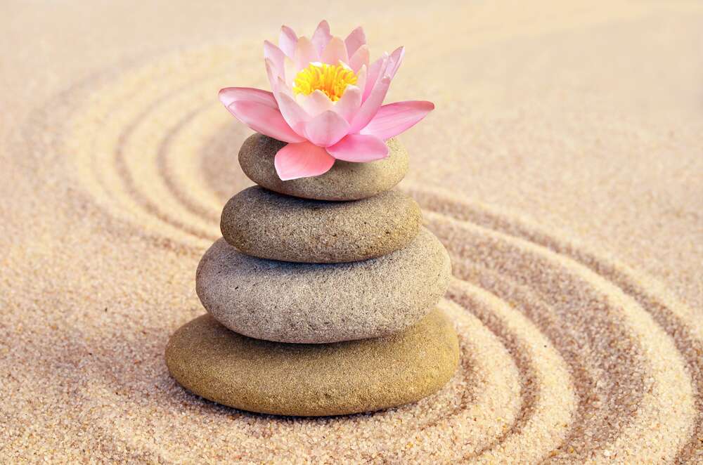 картина-постер Нежный цветок лотоса на спа-камнях
