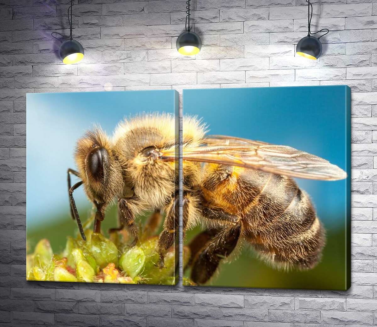 модульна картина Бджола збирає пилок