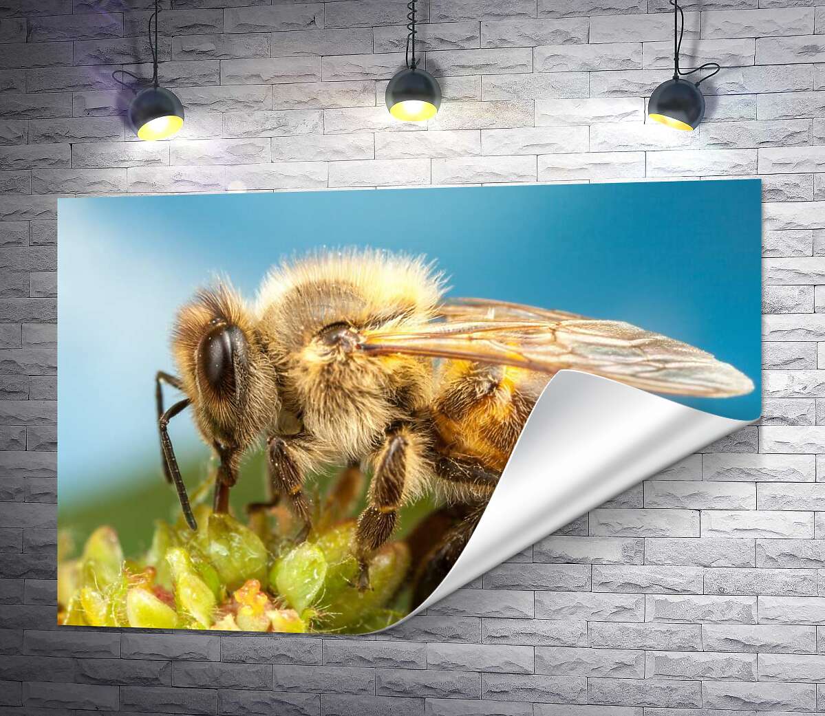 печать Пчела собирает пыльцу