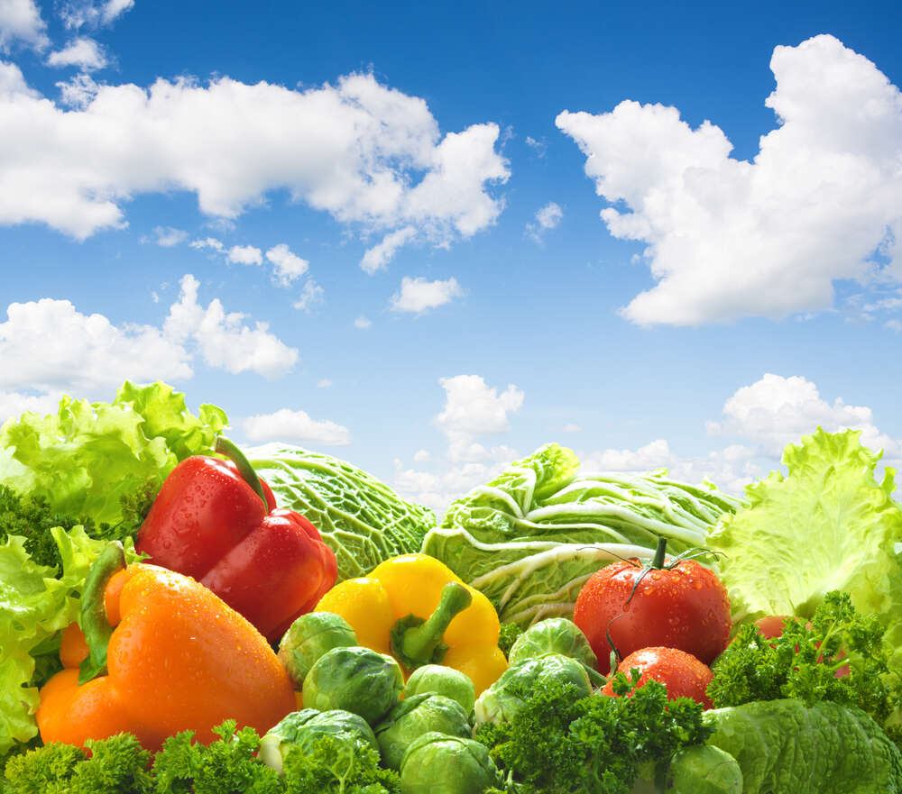 картина-постер Свежие овощи под голубым небом