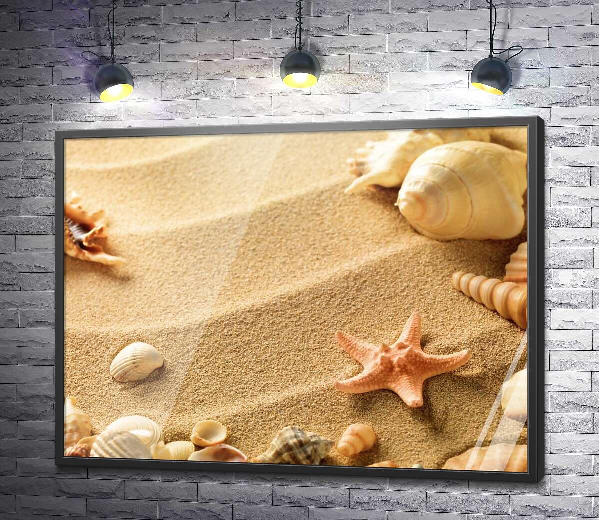 постер Ракушки на песчаных волнах