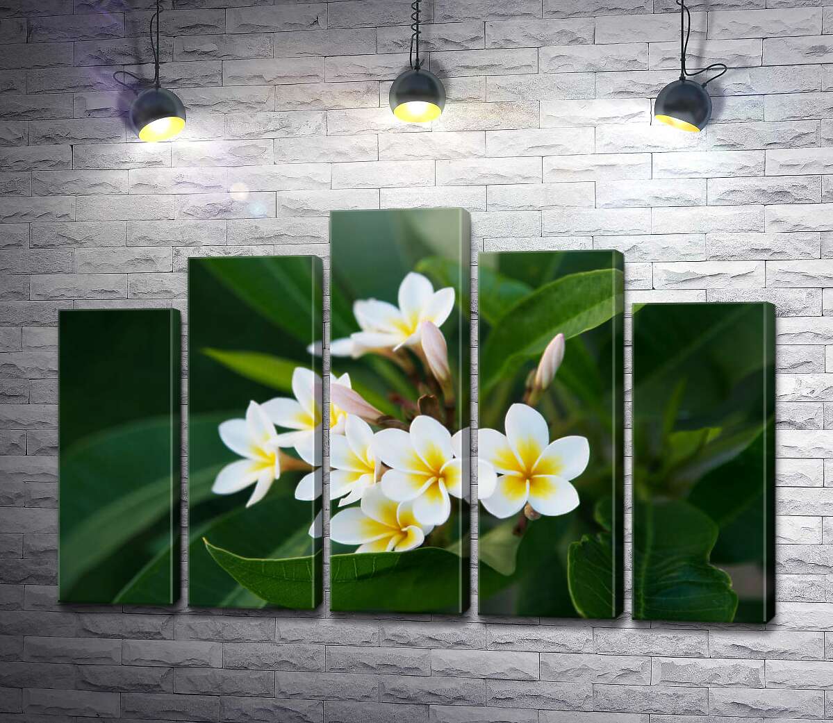модульная картина Нежные цветы плюмерии (Модуль №29)