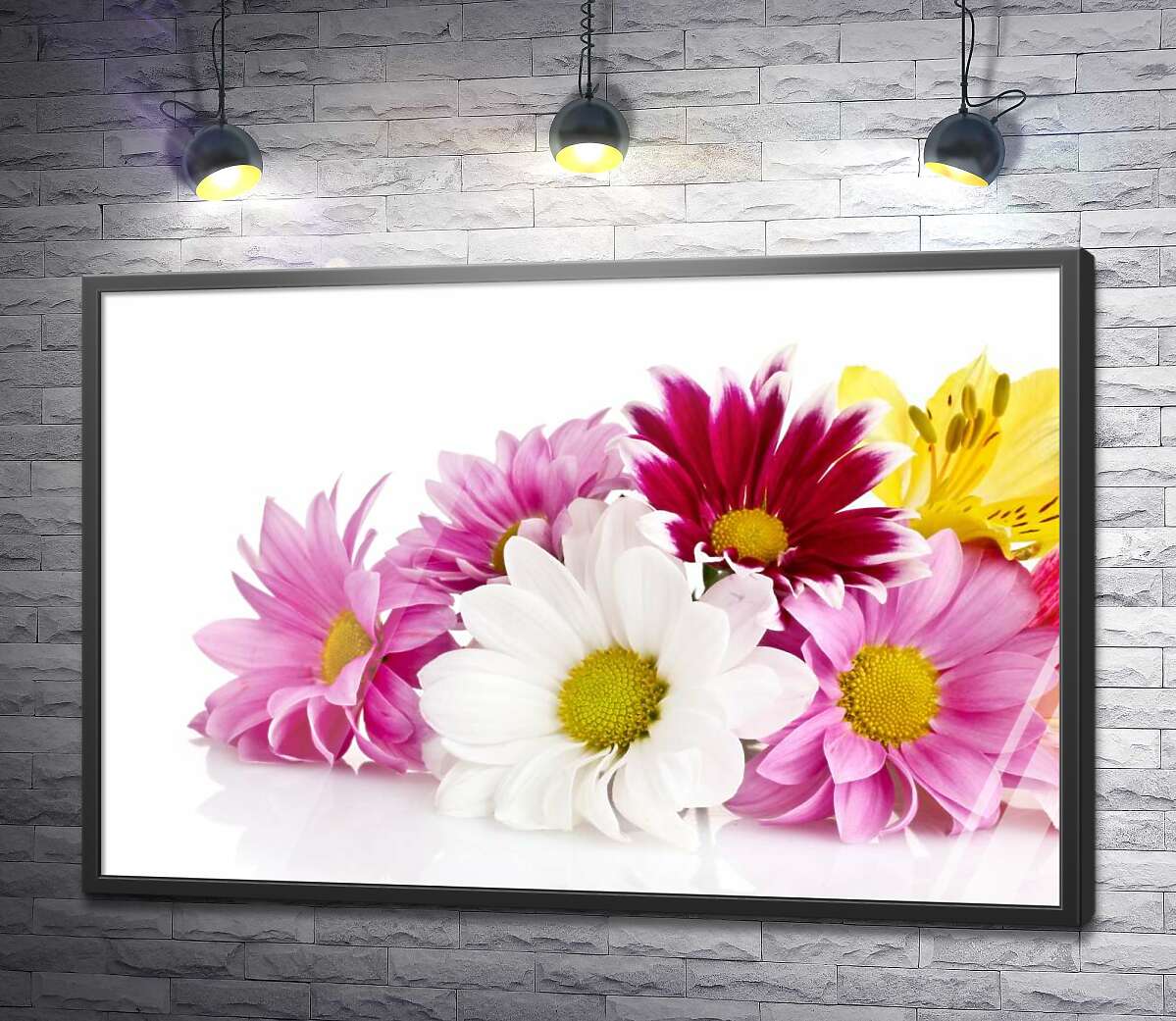 постер Цветы ярких хризантем